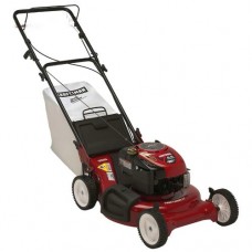 Craftsman 6.5 HP Briggs & Stratton Çim Biçme Makinesi